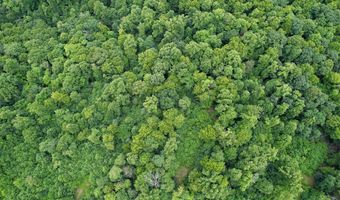 Pheasant Chase lot 3812 81 T, Ararat, VA 24053