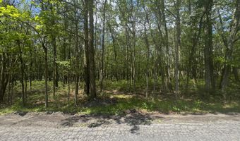 Seneca Trail, Albrightsville, PA 18210