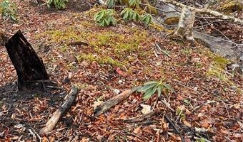 Snow Ridge Road lot 39 And 40, Banner Elk, NC 28604