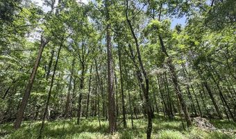 Pine Lodge Road, Batesville, MS 38606