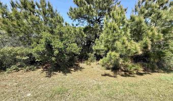 40123 E Kinnakeet Reef Ct Lot 10, Avon, NC 27915