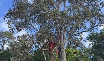 75-1306 KEOPU MAUKA Dr, Holualoa, HI 96725