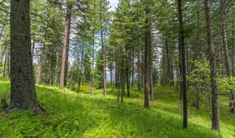 510 Swan Hill Rd, Bigfork, MT 59911