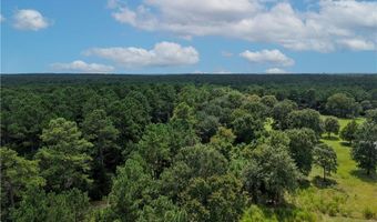 Tbd County Road 212, Anderson, TX 77830