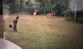 2254 E M30, Alger, MI 48610