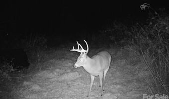 842 Old NC 20 Hwy, Alexander, NC 28701