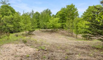 15380 Lake Bluff Dr, Arcadia, MI 49613