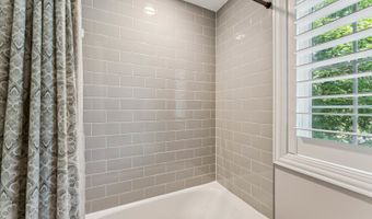 404 W Olive St, Arlington Heights, IL 60004