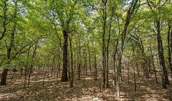 Tbd HCR 2205, Aquilla, TX 76622
