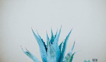 Lot 9 Desert Willow Estates, Artesia, NM 88210