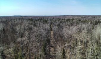 5280 Cathro Rd, Alpena, MI 49707