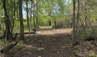 15252 27 Mile Rd, Albion, MI 49224
