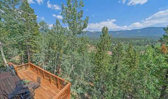 153 Wise Rd, Bailey, CO 80421