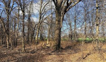 0001 CR-290, Asbury, MO 64832