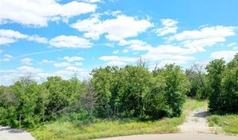 120 Bear Cat Ct, Alvord, TX 76225