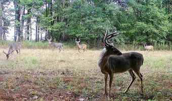 6075 Curtis Rd, Batesville, MS 38606