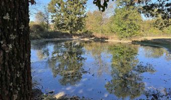 000 County Road 113, Alton, MO 65606