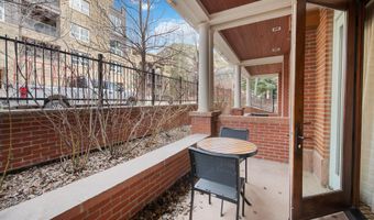 415 E Dean St. Unit 3 Week 11, Aspen, CO 81611
