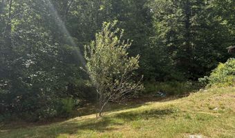 19 Easy Ave, Albany, NH 03818
