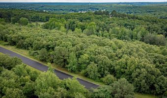 Eagles Nest lot 9, Austin, AR 72007