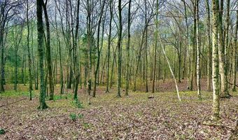 1361 Walkers Chapel Rd, Adolphus, KY 42120