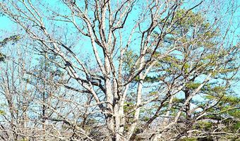 5106 Pine Grove Rd, Ballard, WV 24918