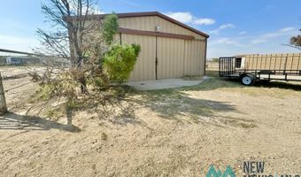 4405 S Thomason Rd, Carlsbad, NM 88220