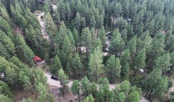 1291 Crown Point Pkwy, Cascade, ID 83611