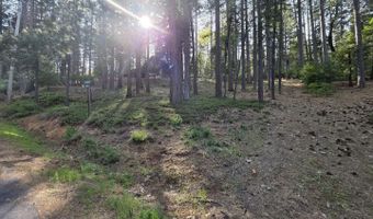 2904 Venado Dr, Arnold, CA 95223