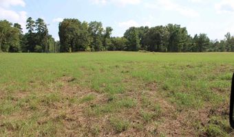 TBD CR 314, Henderson, TX 75652