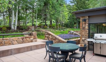 730 S Galena St, Aspen, CO 81611