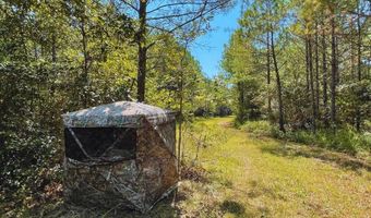 0 CR 320, Big Creek, MS 38914