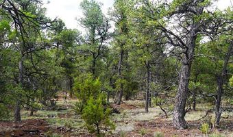 Blue water, Bluewater, NM 87005