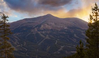 290 N FULLER PLACER Rd, Breckenridge, CO 80424