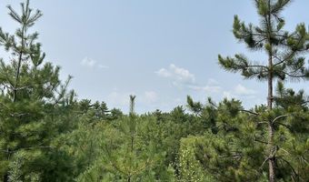 36 Grimstone Dr, Belmont, NH 03220