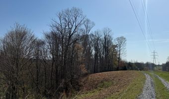 PAYNES POND RD, Arvonia, VA 23004