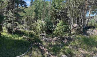 Lot 1012 El Camino Real, Angel Fire, NM 87710