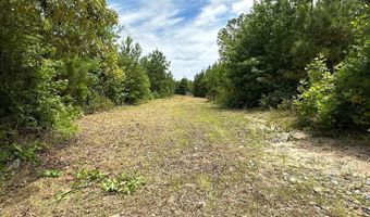 JEFFERSON DAVIS HWY, Ruther Glen, VA 22546