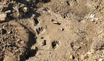 4775 S 50th Rd, Aldrich, MO 65601