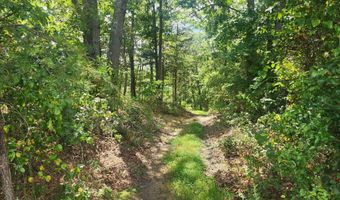2 33 ACRES - AA ROGERS Rd, Augusta, WV 26704