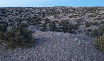 Fort Defina Road, Abiquiu, NM 87548