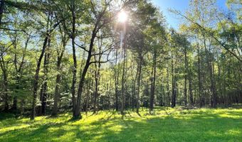 2061 White Rock Rd, Lincolnton, GA 30817