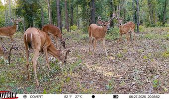 221 Ac Crestview Rd, Arlington, GA 39813