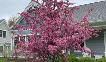 16 Frontier Way, Arundel, ME 04046