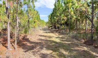 100 Doc Hunter Rd, Baxley, GA 31513