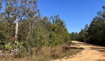 LOT 30 Yvette Dr, Alford, FL 32420