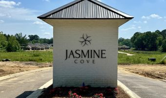 215 Jasmine Cove Cir, Brandon, MS 39042