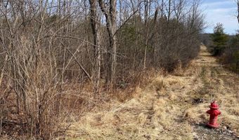 890 Alt-Voorh Rd, Altamont, NY 12009