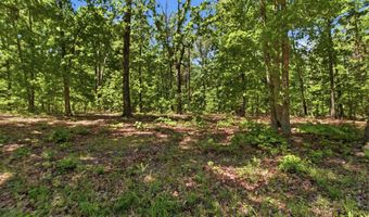 County Road 101, Alton, MO 65606
