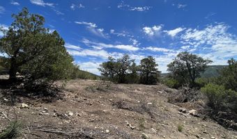 E Laurita Road, Crown King, AZ 86343